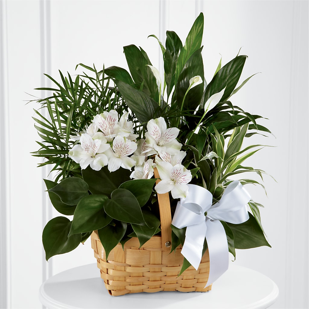 Peace & Serenity Dishgarden – Hartland Flowers And Events, Hartland MI