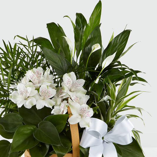 Peace & Serenity Dishgarden – Hartland Flowers And Events, Hartland MI