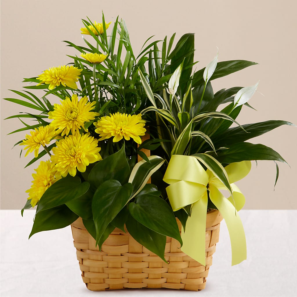 Loving Light Dishgarden – Hartland Flowers And Events, Hartland MI