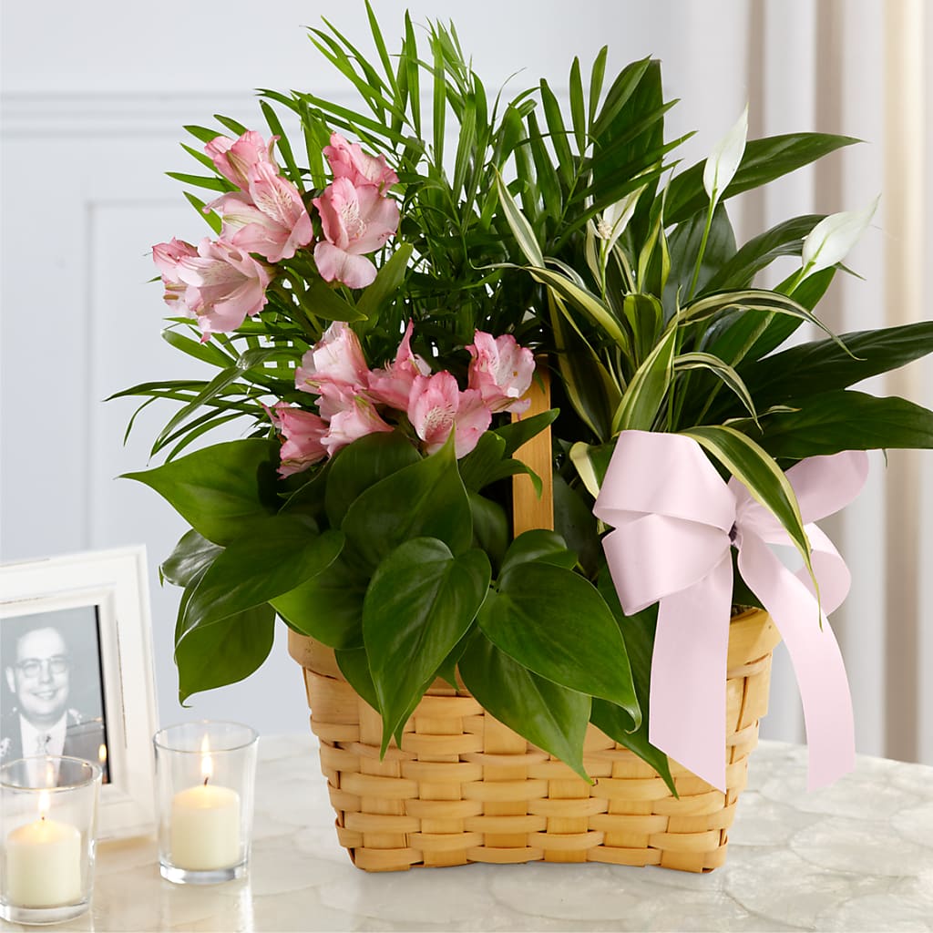 Living Spirit Dishgarden – Hartland Flowers And Events, Hartland MI