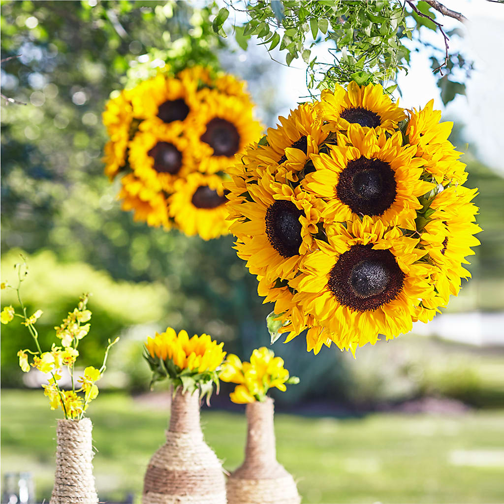 Sublime Garden Hanging Arrangement – Hartland Flowers And Events, Hartland MI