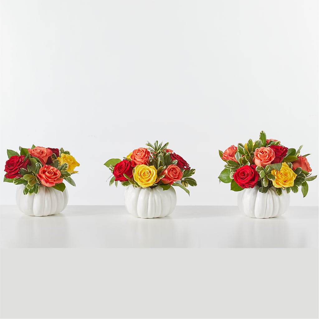 Gourd of Gratitude –  Hartland Flowers And Events, Hartland MI