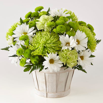 Lucky Charm Basket (Standard) –  Hartland Flowers And Events, Hartland MI