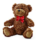 Adorable Plush Bear –  Hartland Flowers And Events, Hartland MI