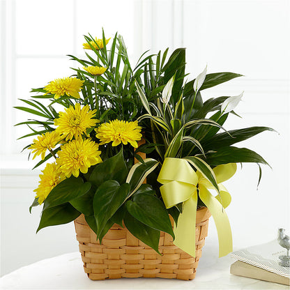 Loving Light Dishgarden –  Hartland Flowers And Events, Hartland MI