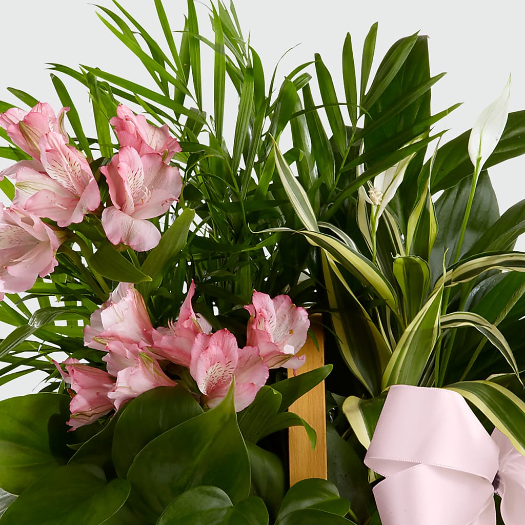 Living Spirit Dishgarden –  Hartland Flowers And Events, Hartland MI